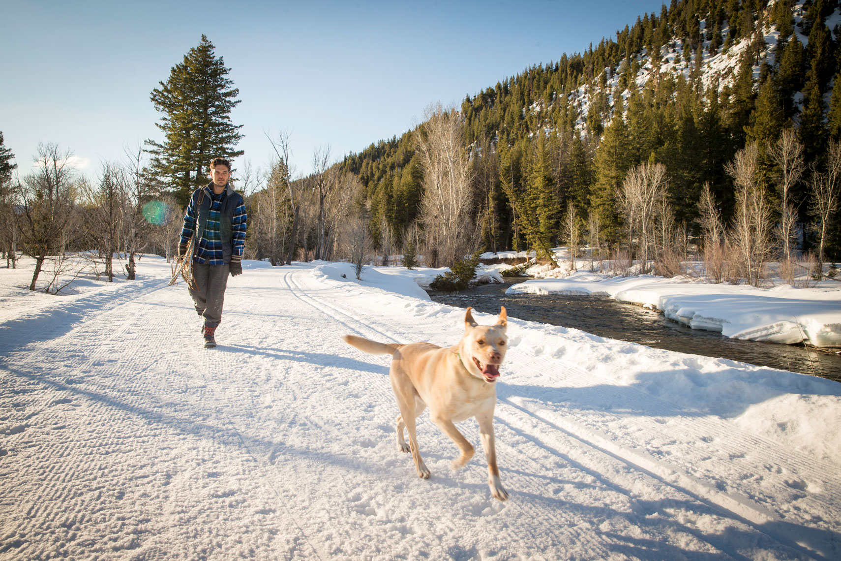 Man and his dog walking on river trail in Winter
