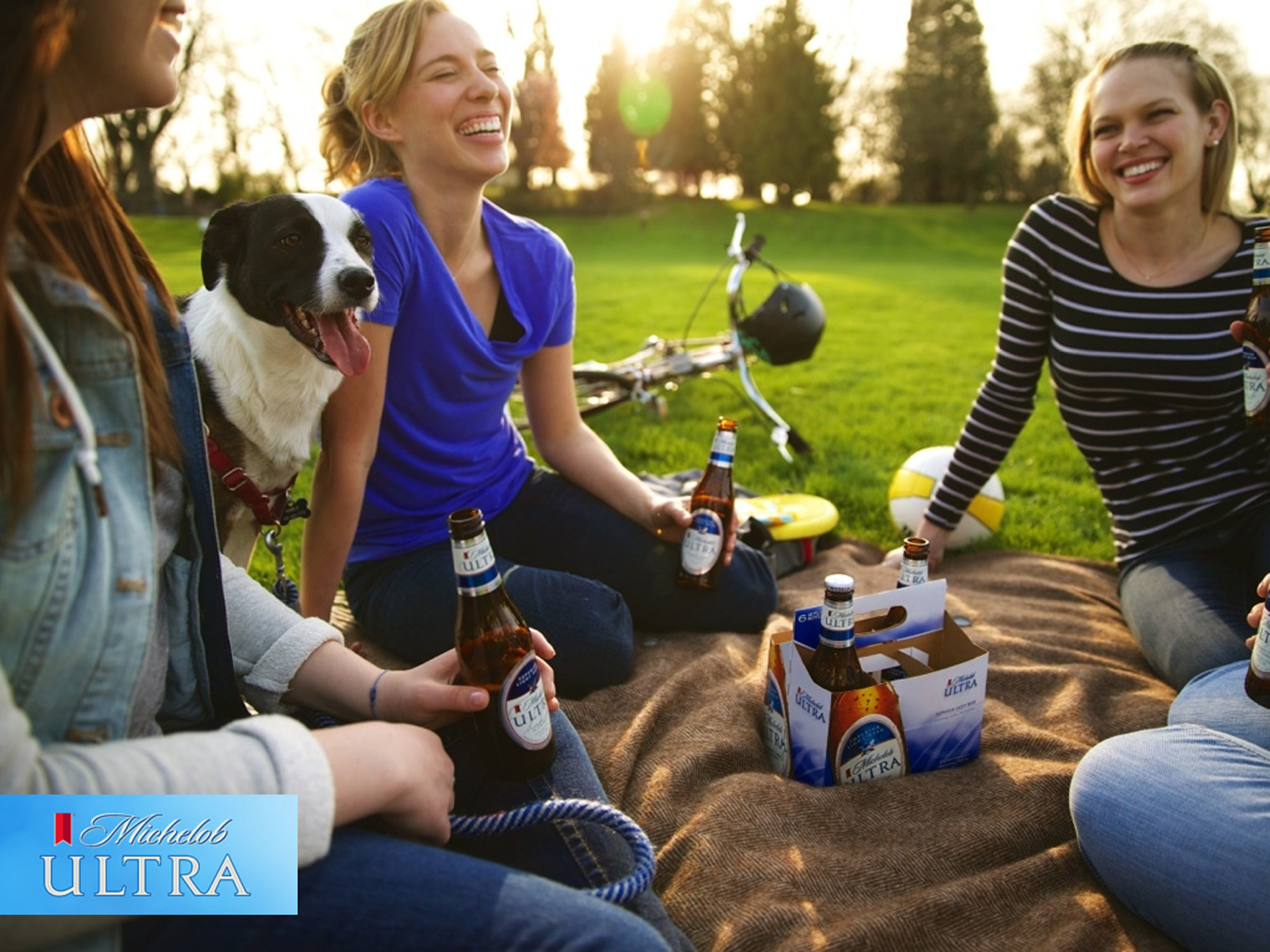 Friends enjoy the park with a six pack of beer and a dog