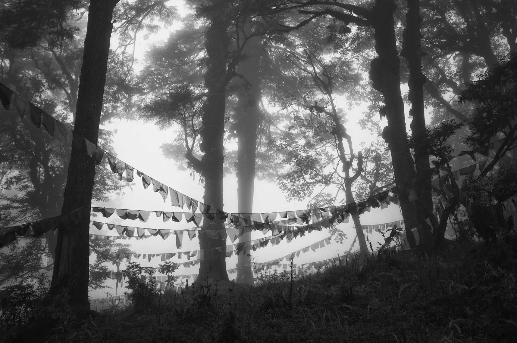 rayer Flags in fog Bhutan/Steve  Mason Photography