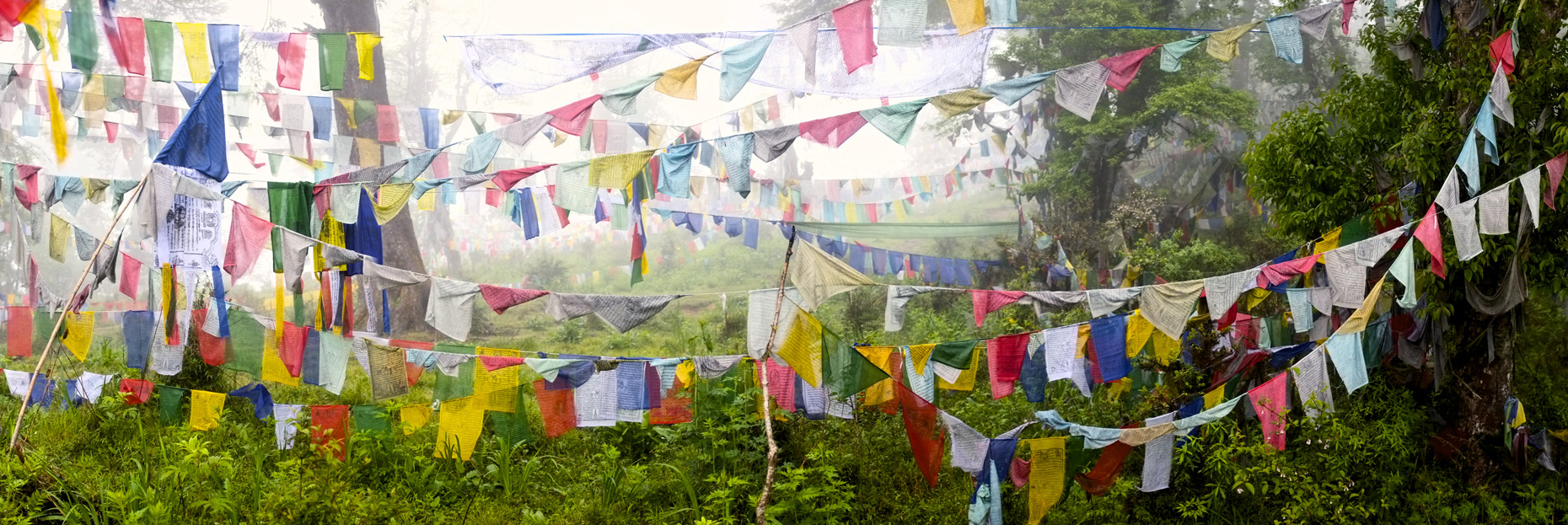 Prayer flag forest in fog,Bhutan/Steve Mason Photography